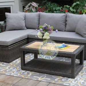 Ban Ghe Sofa May Nhua TL31
