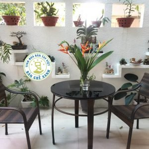 Bàn Ghế Mây Nhựa Ngoài Trời TL2A5