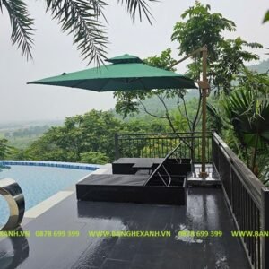 Ghế Bể Bơi Mây Nhựa TL305