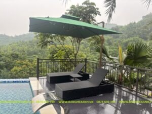 Ghế Bể Bơi Mây Nhựa TL305