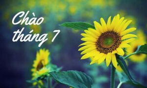 Lịch Vạn Niên Ngày Tốt Trong Tháng 7 Năm 2024