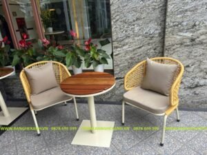 Ghế Ban Công Mây Nhựa TL2324